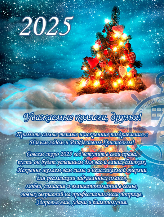 Поздравляем с Рождеством и Новым годом 2025!