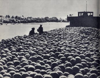 Развіццё ў 1930-я гады